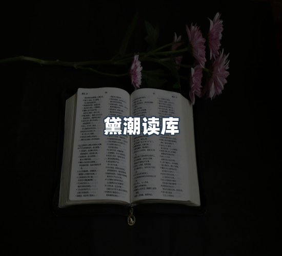 关于黛潮读库